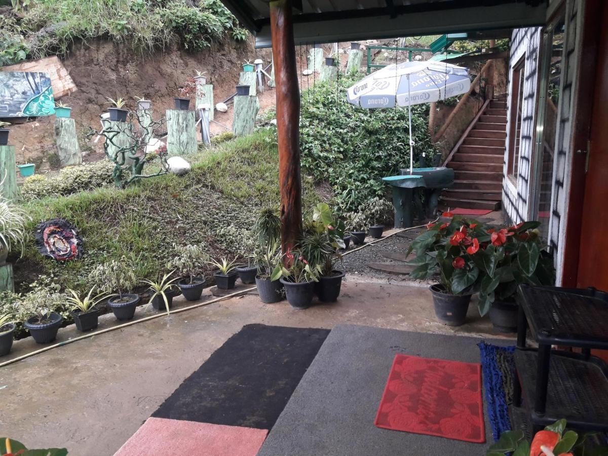 Ohiya Jungle Resort Extérieur photo