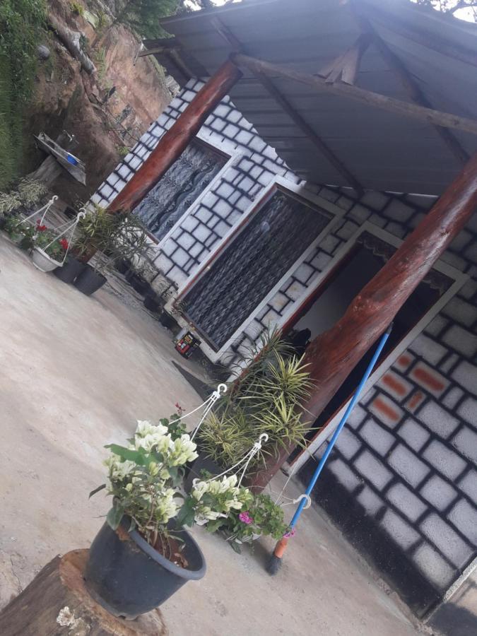 Ohiya Jungle Resort Extérieur photo