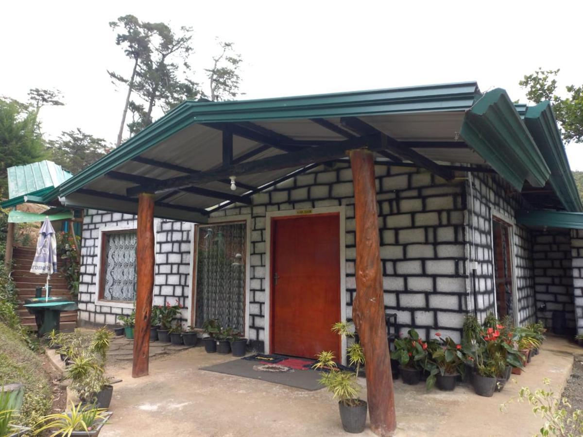 Ohiya Jungle Resort Extérieur photo