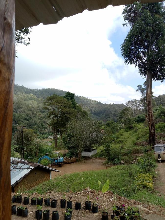 Ohiya Jungle Resort Extérieur photo
